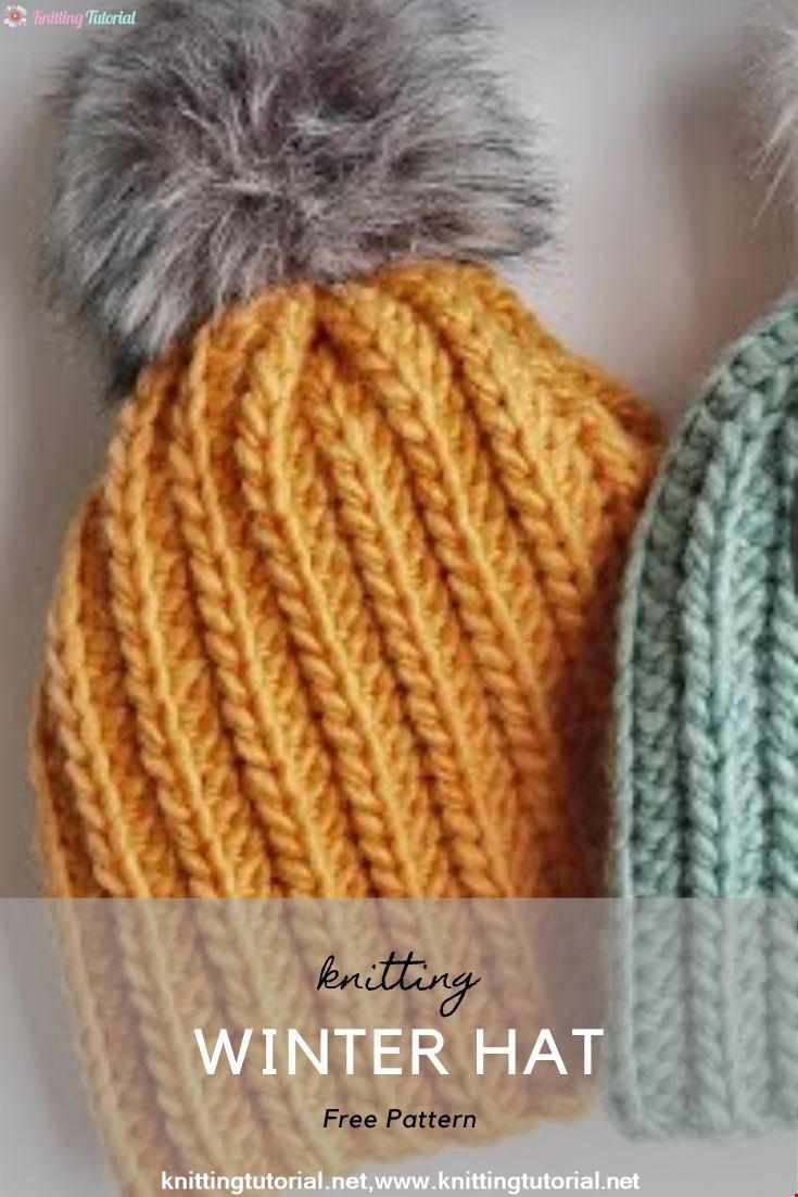 Crochet Beginner Winter Hat