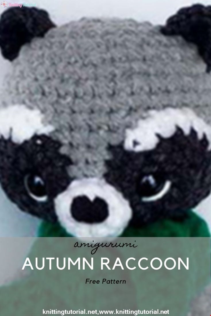 Autumn Raccoon