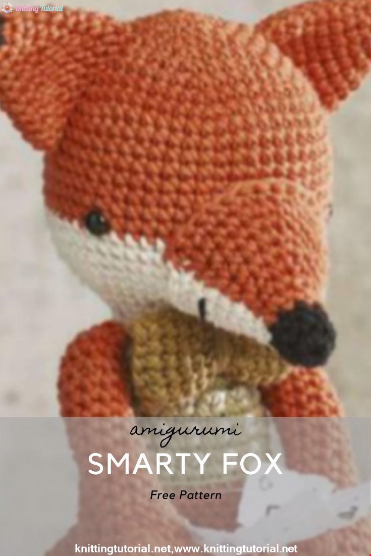 Smarty Fox
