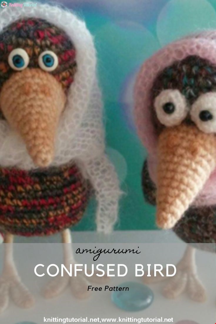 Confused Bird 