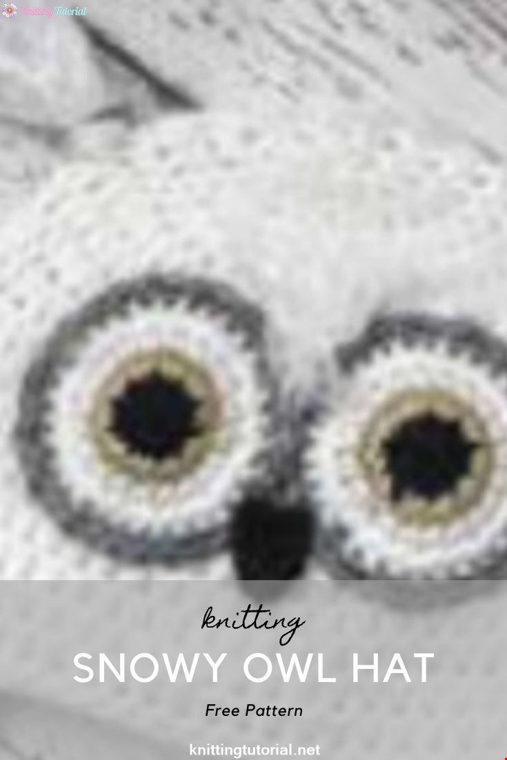 Snowy Owl Hat
