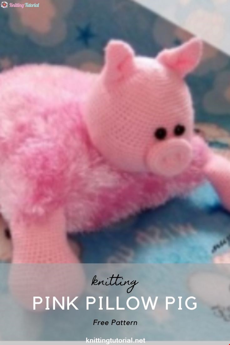 Pink Pillow Pig
