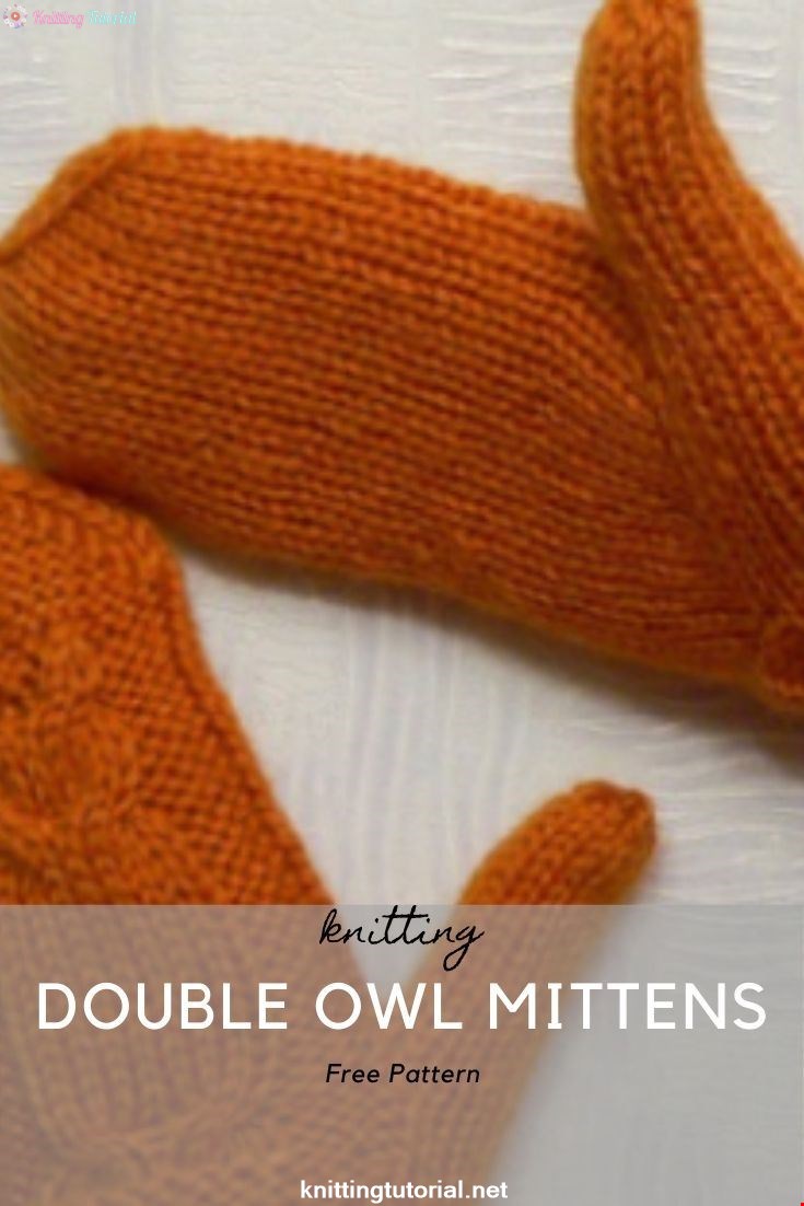 Double Owl Mittens