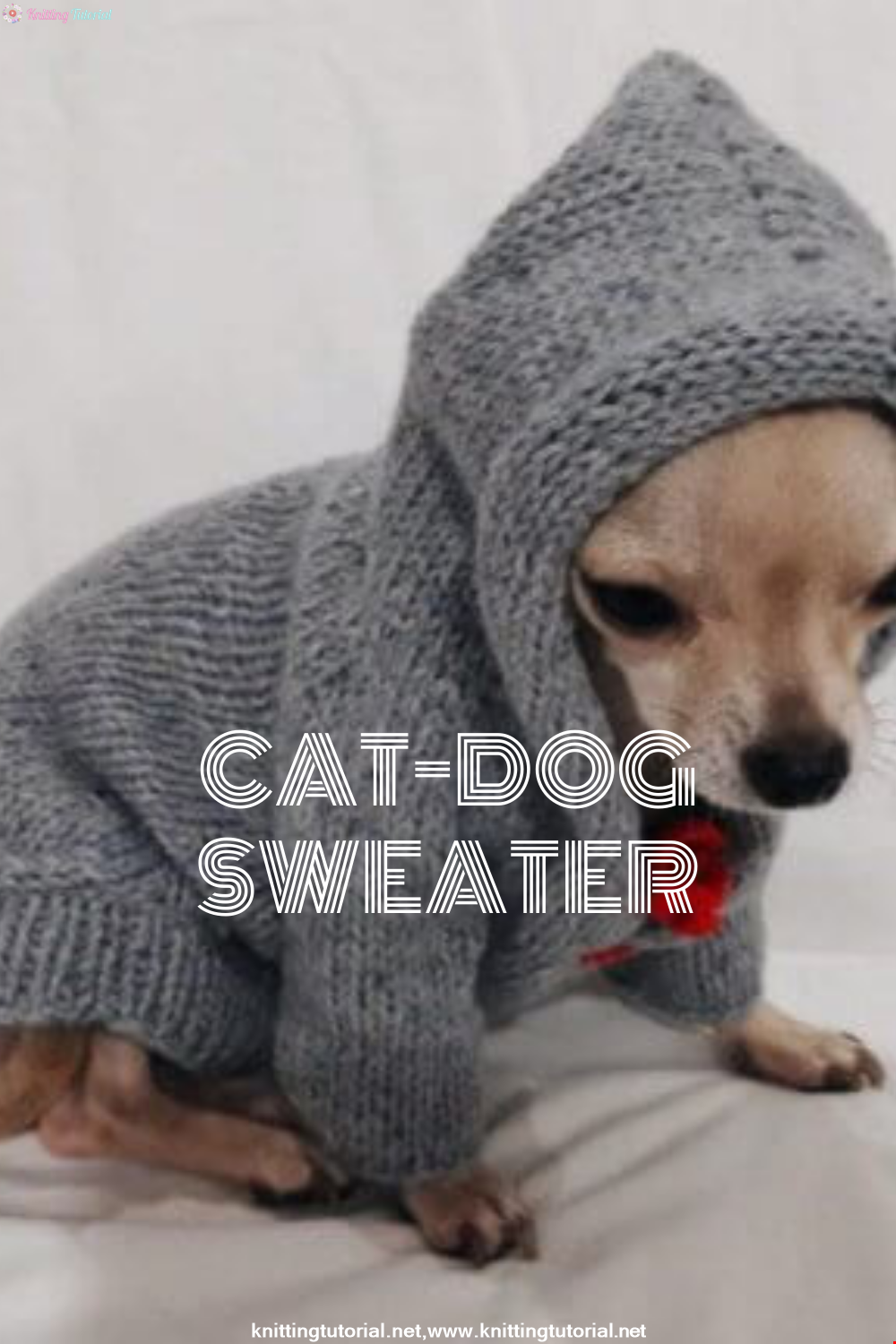 Cat-Dog Sweater Making