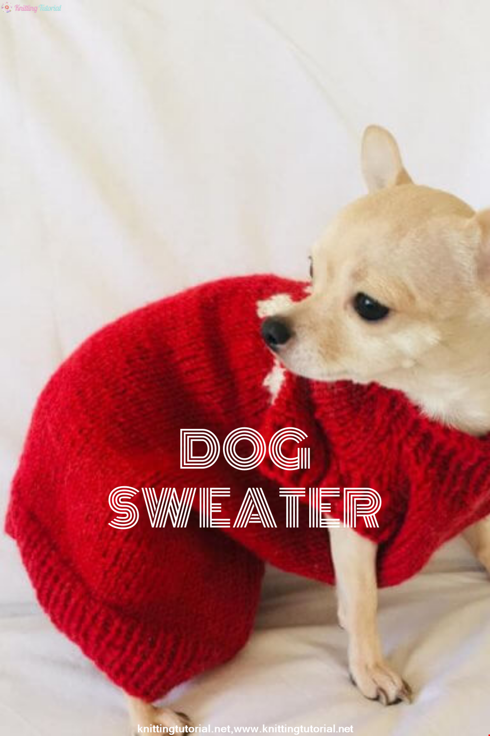 Making a Winter Dog Sweater